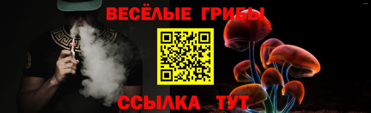 Псилоцибиновые грибы GOLDEN TEACHER  купить наркотик  Миллерово  Вход с VPN  Псилоцибиновые грибы мухоморы 